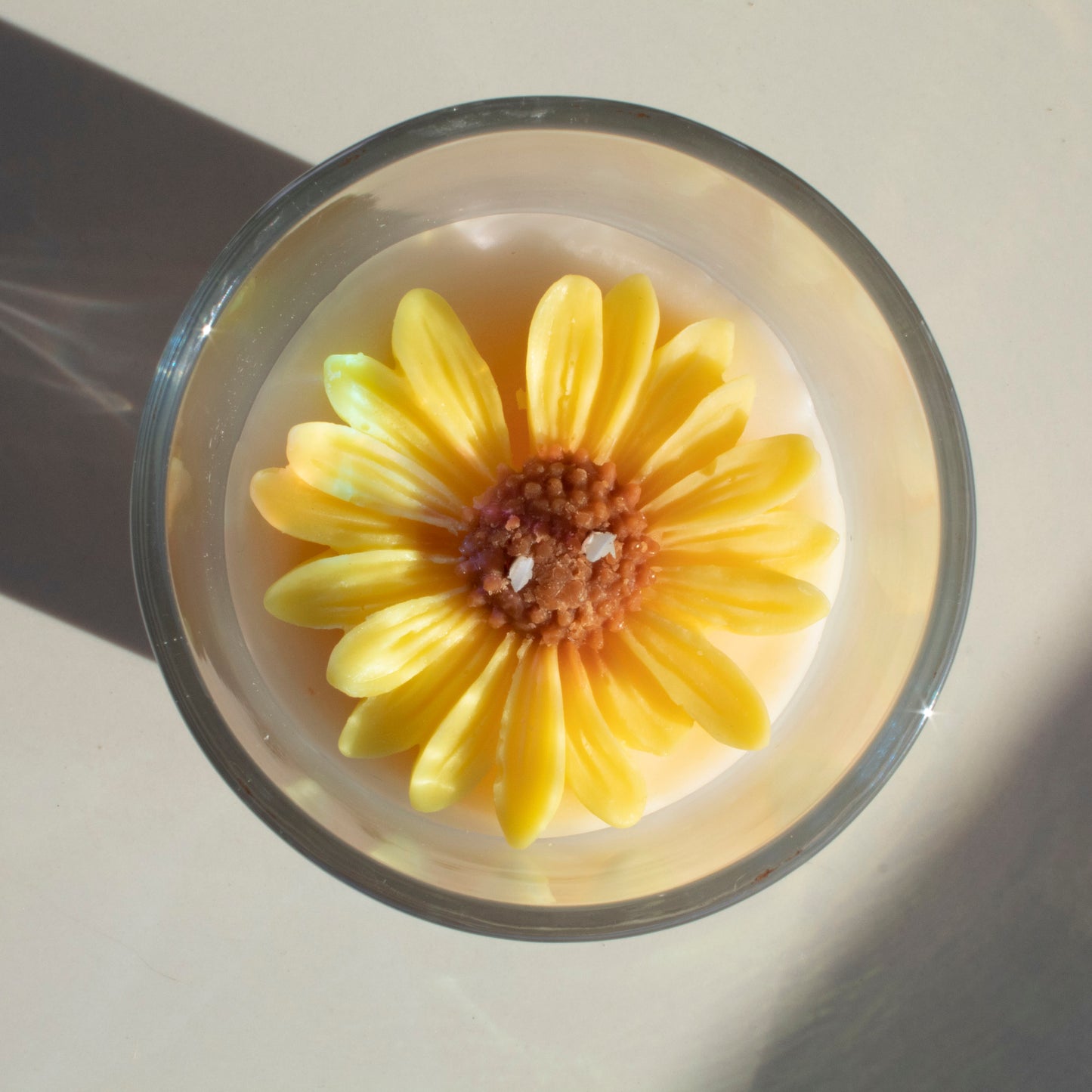Vela Girasol